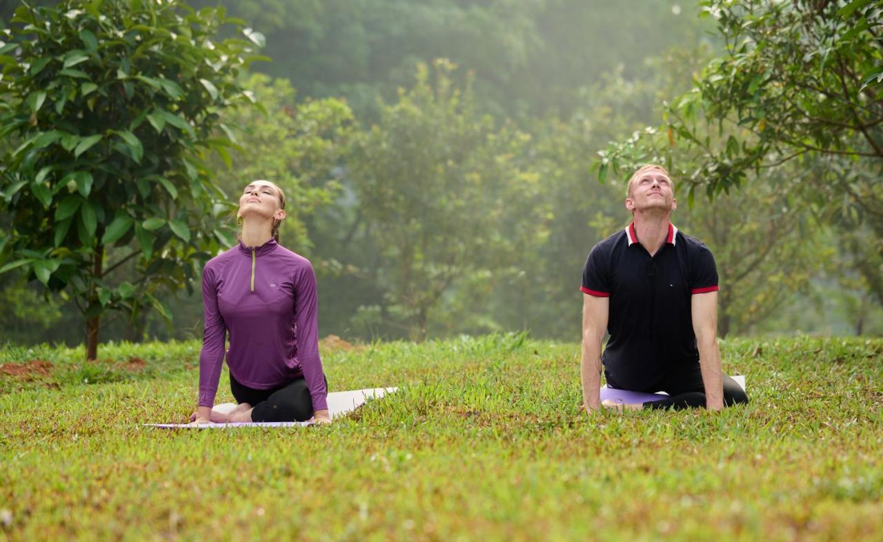 Tigris Valley Holistic Wellness Resort Vallikavungal Esterno foto